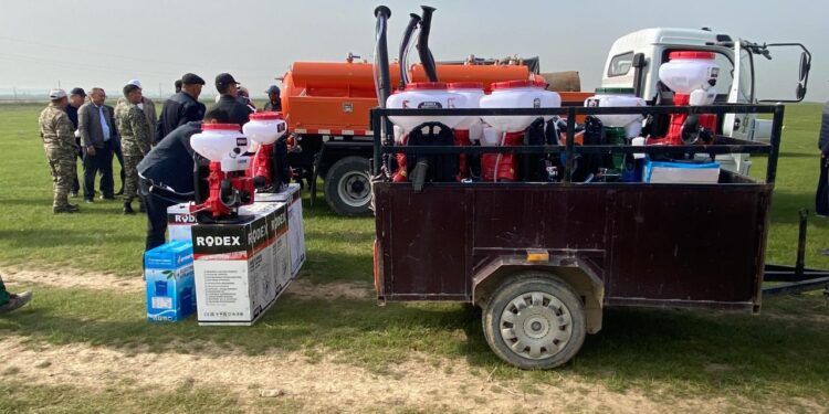 Шегірткеге қарсы күрес шараларына 7,1 млрд теңге бөлінді