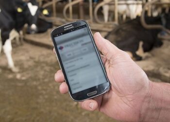 Шалқарлық студент автоматтандырылған қожалық жүйесін іске қосты