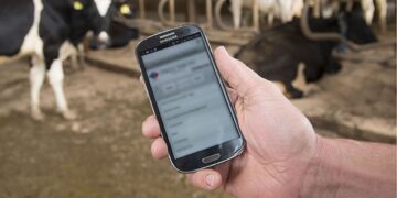 Шалқарлық студент автоматтандырылған қожалық жүйесін іске қосты