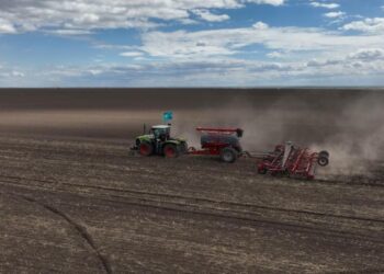 Биыл СҚО-да 4,4 млн гектарға егін егіледі