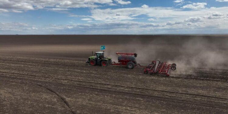 Биыл СҚО-да 4,4 млн гектарға егін егіледі