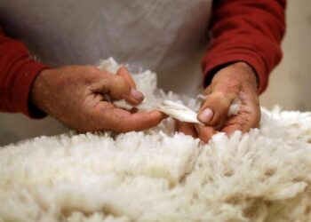 Малдың терісі мен жүнін шетелге шығаруға қойылған кедендік баж салығы жойылады