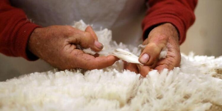 Малдың терісі мен жүнін шетелге шығаруға қойылған кедендік баж салығы жойылады