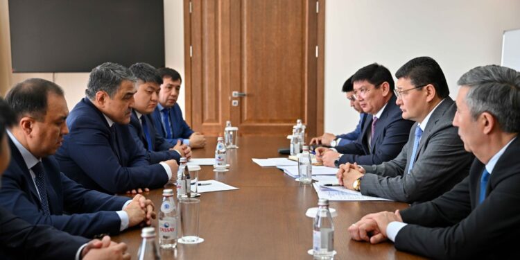 Абай облысының әкімі Су ресурстары және ирригация министрімен кездесті