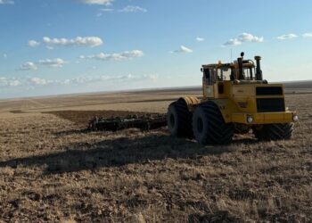 Абай облысының Бородулиха ауданында егіс науқаны басталды