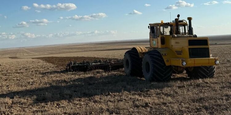 Абай облысының Бородулиха ауданында егіс науқаны басталды