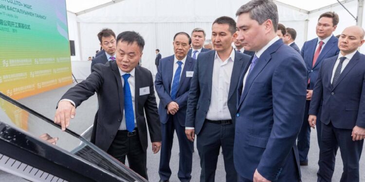 Жамбыл облысында жүгеріні терең өңдейтін жаңа сауыт салынады