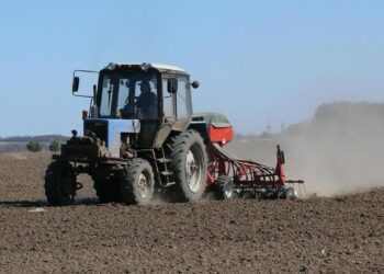 814 мың гектарға жуық жерге егін егілді