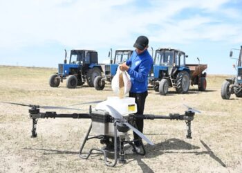 Қызылорда диқандары агродронмен күріш егіп жатыр