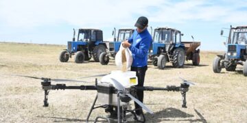 Қызылорда диқандары агродронмен күріш егіп жатыр