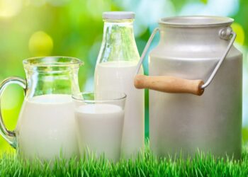 Сүт субсидиясын жымқырғандар сотталды