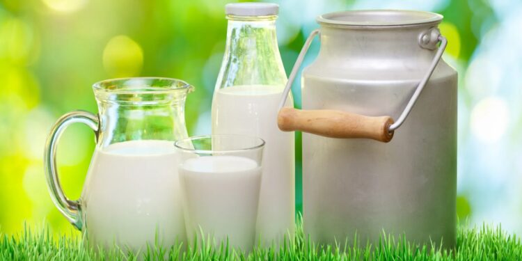 Сүт субсидиясын жымқырғандар сотталды