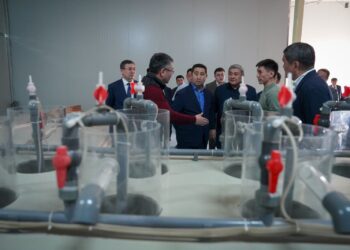 Айдарбек Сапаров: еліміздің құс етіне деген қажеттілігі 79% қамтамасыз етілген