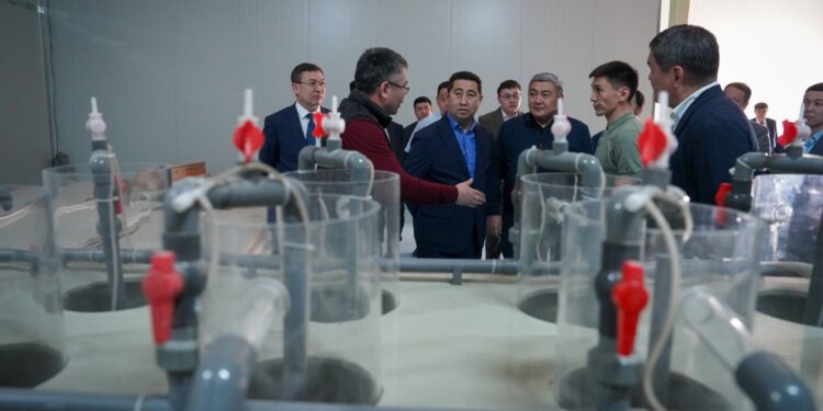 Айдарбек Сапаров: еліміздің құс етіне деген қажеттілігі 79% қамтамасыз етілген