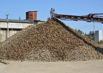 Al Khaleej Sugar компаниясы Қонаевта қант зауытын салуды жоспарлап отыр