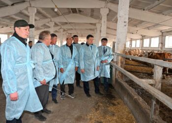 «Өрнек» шаруа қожалығының өркендеуіне қолдау көрсетіледі