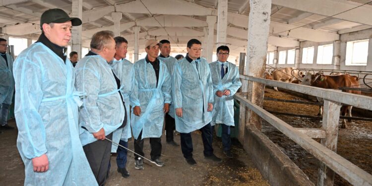 «Өрнек» шаруа қожалығының өркендеуіне қолдау көрсетіледі