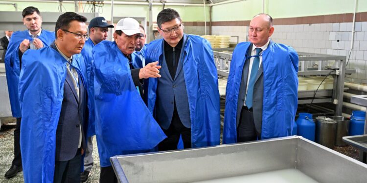 Ет пен сүттен дайын өнім түрлерін шығаратын шаруашылық