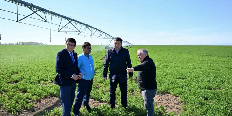 Абай облысының әкімі Көкпектідегі агрокешеннің жұмысымен танысты
