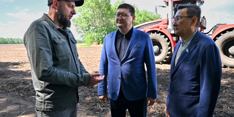 Бородулиха ауданында дронмен дән себетін шаруашылық бар