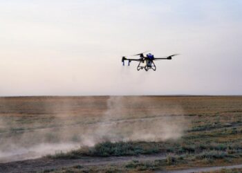 Шегіртке зиянкестеріне қарсы күрес шараларына 50-ден астам дрон жұмылдырылды