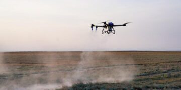 Шегіртке зиянкестеріне қарсы күрес шараларына 50-ден астам дрон жұмылдырылды