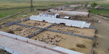 Қазақстан еті араб елдерінде жоғары сұранысқа ие