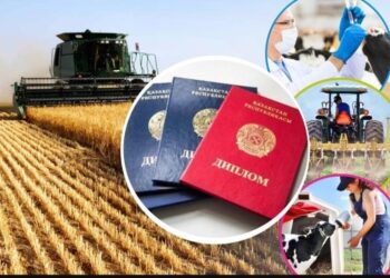 «Дипломмен ауылға» бағдарламасы басталады