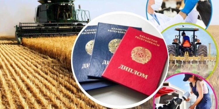 «Дипломмен ауылға» бағдарламасы басталады