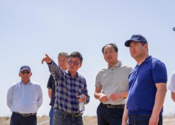 Түркістан облысында мақта-тоқыма кластерін құру жұмыстары жалғасуда