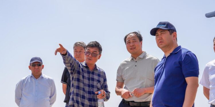 Түркістан облысында мақта-тоқыма кластерін құру жұмыстары жалғасуда