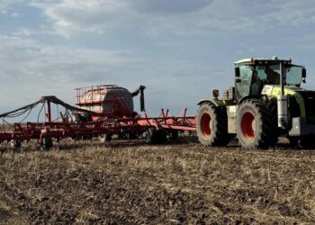 Ақмола облысындағы егін егетін 664 фермерге 100 млрд теңгеден астам несие қаржысы берілді