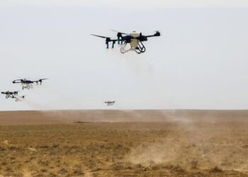 Премьер-министр шегірткеге қарсы күрес шараларын күшейтуді тапсырды