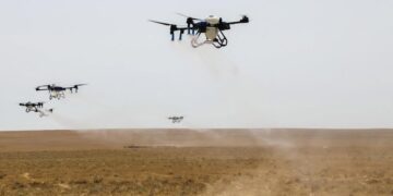 Премьер-министр шегірткеге қарсы күрес шараларын күшейтуді тапсырды