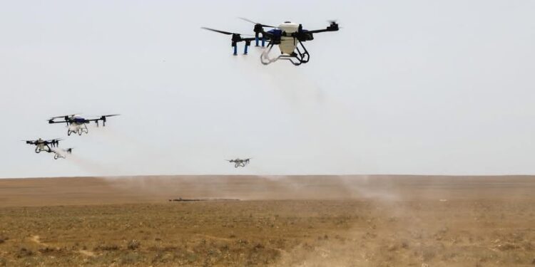 Премьер-министр шегірткеге қарсы күрес шараларын күшейтуді тапсырды