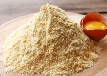 Қазақстанда жұмыртқаны терең өңдейтін зауыт салынады