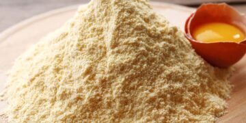 Қазақстанда жұмыртқаны терең өңдейтін зауыт салынады