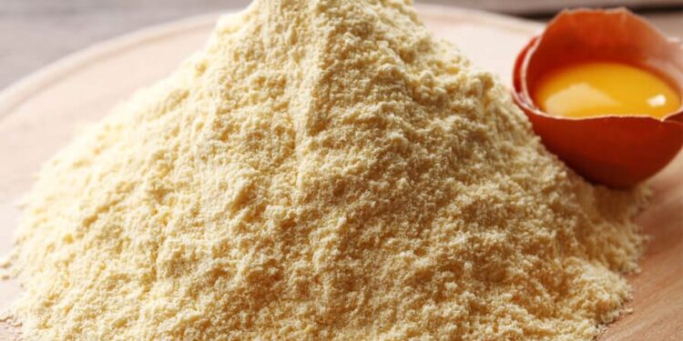 Қазақстанда жұмыртқаны терең өңдейтін зауыт салынады