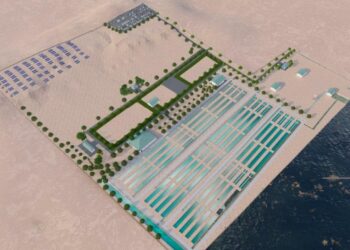 Маңғыстауда бекіре өсіріп, уылдырық өндіретін ферма ашылады