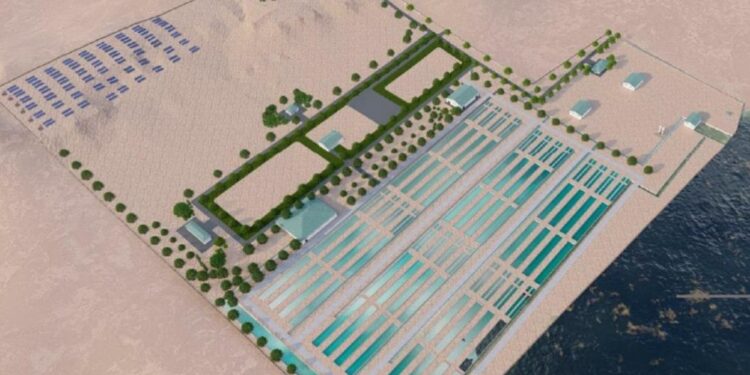 Маңғыстауда бекіре өсіріп, уылдырық өндіретін ферма ашылады