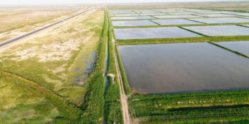 Қызылорда облысында 15 мың гектардан астам егіс алқабы сумен қамтамасыз етілді