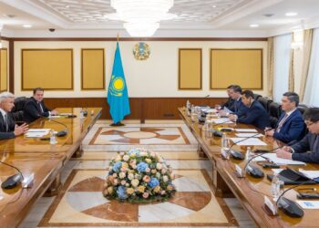 Қазақстанда картоп чипсілерін өндіру жоспарланып отыр