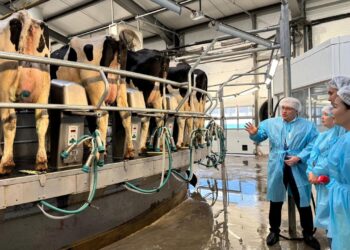 Журналистер Павлодар облысындағы тауарлы сүт фермаларының жұмысымен танысты