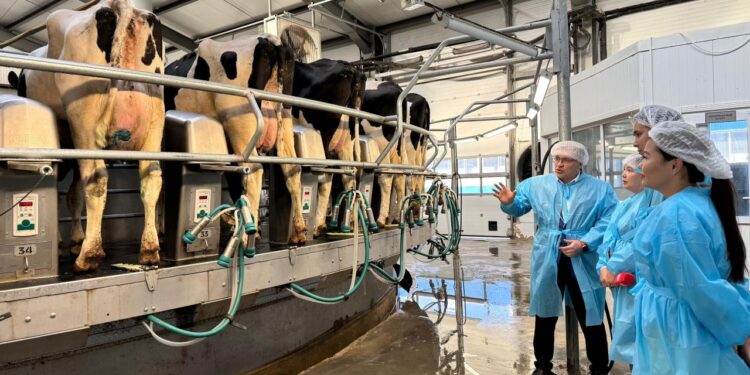 Журналистер Павлодар облысындағы тауарлы сүт фермаларының жұмысымен танысты