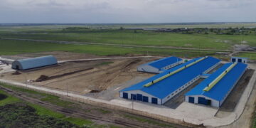 СҚО-да 400 басқа арналған тауарлы сүт фермасы ашылады