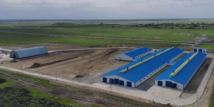 СҚО-да 400 басқа арналған тауарлы сүт фермасы ашылады