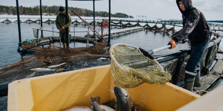 Президент «Аквашаруашылық туралы» Заңға қол қойды