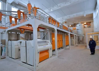 Павлодарда диірмендердің үштен екісі шикізат жетіспеушілігінен тоқтап тұр