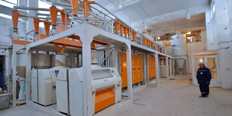 Павлодарда диірмендердің үштен екісі шикізат жетіспеушілігінен тоқтап тұр