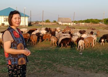 Шағын несиенің шарпатын көргендер